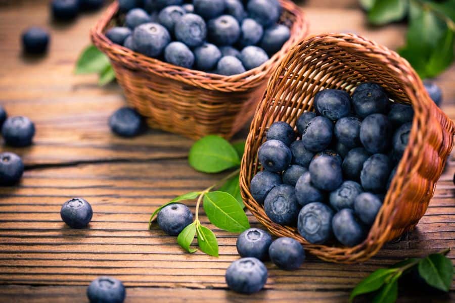 Blueberries High Arginine Fruit